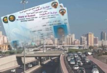 പ്രവാസികള്ക്ക് നല്കിയ മുഴുവന് ഡ്രൈവിങ് ലൈസന്സുകളും പരിശോധിക്കും