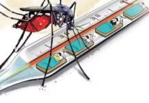 ഡെങ്കിപ്പനി ബാധിച്ച് വിദ്യാർഥിയടക്കം 2 പേർ മരിച്ചു