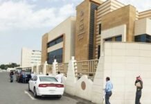 ഫാമിലി വിസ; 2000ത്തോളം അപേക്ഷകളിൽ വ്യവസ്ഥകൾ പാലിച്ചത് ഏകദേശം 500 മാത്രം ; 8 രാജ്യക്കാർക്കു ഫാമിലി വിസ നൽകില്ല