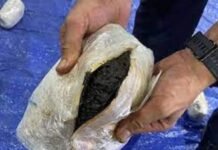 കാൽലക്ഷം ദിനാർ വിലമതിക്കുന്ന 150 കിലോ ഹാഷിഷ് പിടികൂടി