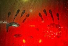 സൈബര് തട്ടിപ്പിലൂടെ തൃശൂർ സ്വദേശിയായ പ്രവാസി വ്യവസായിയുടെ 1.10 കോടി രൂപ തട്ടിയെടുത്തു.