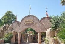 സന്തോഷ വാർത്ത; കുവൈത്ത് മൃഗശാല തുറക്കുന്നു