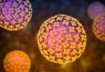 ഹാൻ്റവൈറസ്: രാജ്യത്ത് ആശങ്കയില്ല