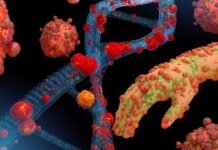 കേരളത്തിൽ എം പോക്സ് സ്ഥിരീകരിച്ചു