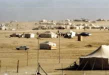 ഡെസേർട്ട് അഡ്വഞ്ചർ, ഫൈബർ ഒപ്റ്റിക് എക്സ്പാൻഷൻ എന്നിവക്ക് അംഗീകാരം