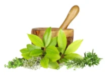 ഒമ്പതാമത് ആയുർവേദ ദിനം ആഘോഷിക്കാനൊരുങ്ങി ഇന്ത്യൻ എംബസി