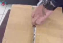 ഇലക്ട്രിക്കൽ ഉപകരണത്തിൽ ഒളിപ്പിച്ച കൊക്കെയ്ൻ പിടികൂടി