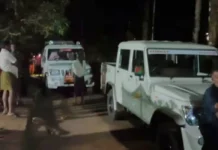 കോതമംഗലത്ത് വനത്തിൽ കുടുങ്ങിയ സ്ത്രീകളെ 14 മണിക്കൂർ നീണ്ട തിരച്ചിലിന് ശേഷം കണ്ടെത്തി