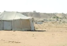 സ്പ്രിങ് ക്യാമ്പിംഗ്; ആദ്യ ദിനം നൽകിയത് 700ലധികം ലൈസൻസുകൾ