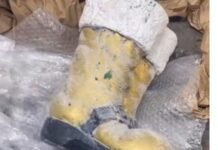 ക്രിസ്മസ് പാക്കേജിൽ മയക്കുമരുന്ന്