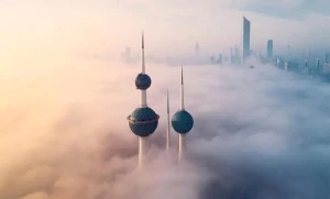 a-frost-wave-in-the-coming-hours-and-temperatures-below-3-degrees-celsius-Kuwait-2024-12-16-02-55-35