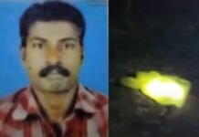 കോതമംഗലത്ത് കാട്ടാന ഒരാളെ ചവിട്ടിക്കൊന്നു