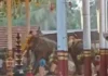 കോഴിക്കോട് ക്ഷേത്രോത്സവത്തിനിടെ ആനകൾ ഇടഞ്ഞ് മൂന്ന് പേർ മരിച്ചു