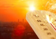 കേരളത്തിൽ ഉഷ്ണതരംഗ സാധ്യത; 11 ജില്ലകളിൽ യെല്ലോ അലർട്ട് പ്രഖ്യാപിച്ചു