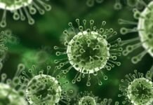 മലപ്പുറത്തെ നിപാ വൈറസ് ബാധിതയുടെ സമ്പർക്ക പട്ടികയിലെ 11 പേരുടെ പരിശോധനാ ഫലവും നെഗറ്റീവ്