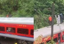 തൃശൂർ ഓടിക്കൊണ്ടിരുന്ന ട്രെയിനിന് മുകളിലേക്ക് മരം വീണു