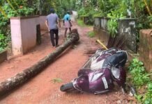 വടകരയിൽ സ്കൂട്ടർ ഓടിച്ചുകൊണ്ടിരിക്കെ മരം വീണ് വയോധികൻ മരിച്ചു