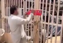 ഔദ്യോഗിക മുദ്രയിൽ കൃത്രിമം കാണിച്ചു, ഒരാൾക്കെതിരെ നിയമനടപടി സ്വീകരിച്ച് കുവൈറ്റ് ഫയർഫോഴ്സ്