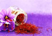 കുങ്കുമപൂവ്,ചരിത്രത്തിലെ ഏറ്റവും വിലകൂടിയ സുഗന്ധവ്യഞ്ജനം