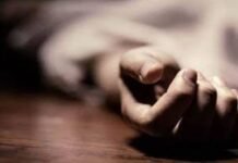 പന്നിക്കെണിയിൽ മരണം: താമരക്കുളം പഞ്ചായത്തിൽ നാളെ ഹർത്താൽ