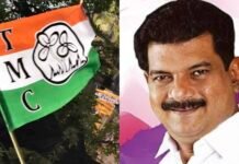 അൻവറിന്റെ ചിഹ്നം പൂവും പുല്ലും; നാമനിർദേശ പത്രിക തിങ്കളാഴ്ച്ച സമർപ്പിക്കും