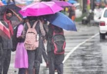 സംസ്ഥാനത്ത് മഴ കനക്കുന്ന സാഹചര്യത്തിൽ അഞ്ച് ജില്ലകളിലെ വിദ്യാഭ്യാസ സ്ഥാപനങ്ങൾക്ക് നാളെ അവധി