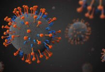 മലപ്പുറം കോട്ടക്കലിൽ നിപ സമ്പർക്ക പട്ടികയിലുള്ള യുവതി മരിച്ചു