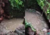 കനത്ത മഴയിൽ വീട്ടുമുറ്റത്തെ കിണർ ഇടിഞ്ഞു