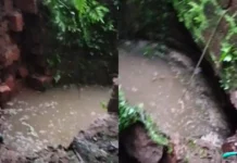കനത്ത മഴയിൽ വീട്ടുമുറ്റത്തെ കിണർ ഇടിഞ്ഞു