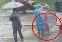 മൂന്നാറിൽ നായകളെ കൂട്ടത്തോടെ കൊന്നൊടുക്കിയെന്ന പരാതി