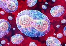 സംസ്ഥാനത്ത് വീണ്ടും അമീബിക് മസ്തിഷ്ക ജ്വരം; രണ്ടു പേർക്ക് രോഗം സ്ഥിരീകരിച്ചു, 11 പേർ ചികിത്സയിൽ