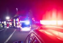 നാട്ടിൽ പോകാനിരുന്ന പ്രവാസിയുടെ കാറും പണവും തട്ടിയെടുത്ത പ്രതി പിടിയിൽ