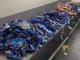 കുവൈറ്റ് വിമാനത്താവളത്തിൽ 13 കിലോ പുകയിലയുമായി ഇന്ത്യൻ യാത്രക്കാരൻ പിടിയിൽ