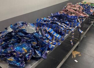 കുവൈറ്റ് വിമാനത്താവളത്തിൽ 13 കിലോ പുകയിലയുമായി ഇന്ത്യൻ യാത്രക്കാരൻ പിടിയിൽ