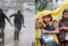 ആലപ്പുഴയിലെ ചെങ്ങന്നൂർ, കുട്ടനാട് മേഖലകളിൽ വിദ്യാഭ്യാസ സ്ഥാപനങ്ങൾക്ക് അവധി,പരീക്ഷകൾക്ക് മാറ്റമില്ല