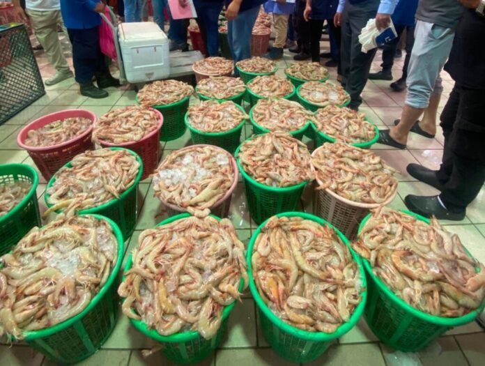 shrimps-1-1024x772
