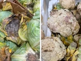 ഫർവാനിയയിൽ 173 കിലോ ഉപഭോഗത്തിന് യോഗ്യമല്ലാത്ത ഭക്ഷണം നശിപ്പിച്ച് PAFN