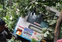 നെല്ലിയാമ്പതി–നെൻമാറ റൂട്ടിൽ കെഎസ്ആർടിസി ബസ് താഴ്ചയിലേക്ക് മറിഞ്ഞു; ഒരാൾ മരിച്ചു, നിരവധി പേർക്ക് പരിക്ക്